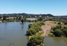 filmywap 2024 overview insights