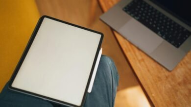 lovelolablog news overview