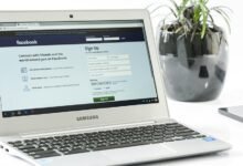 mpwcdmis login guide