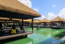 msrit parents portal functionality