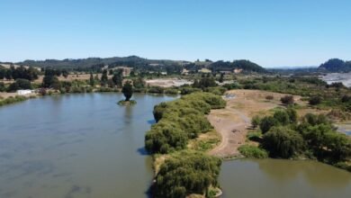 nado pronostic detailed summary