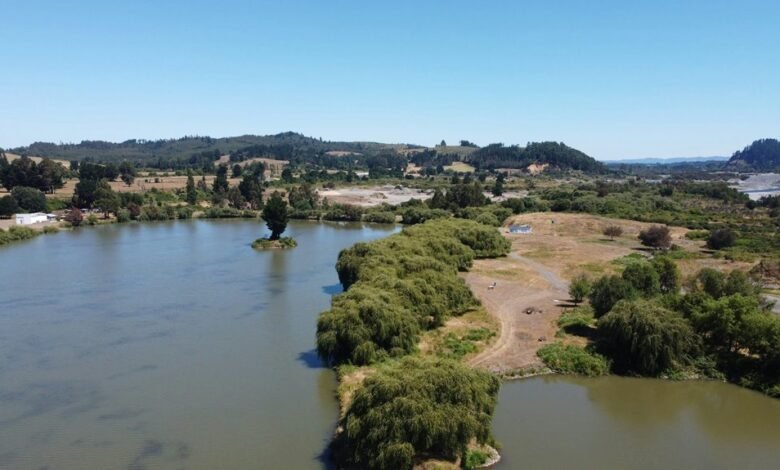 nado pronostic detailed summary