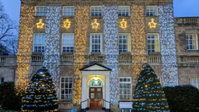 telugu movie download platform