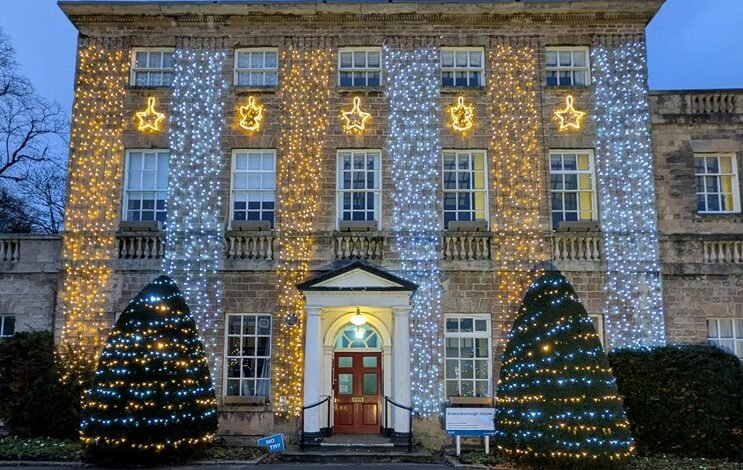 telugu movie download platform