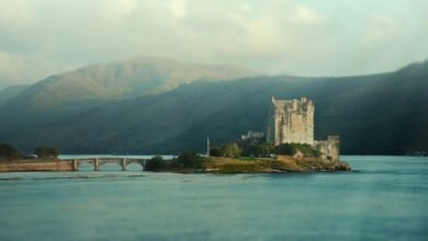 telugu movies download platform