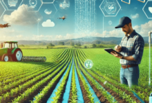 How To Maximize Hagaribommanahalli’s Agricultural Yield With Weather Forecasting?