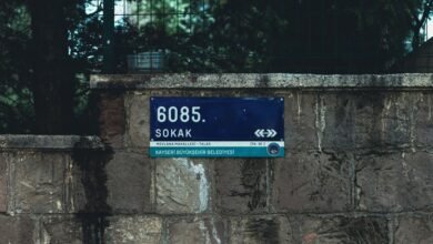 ip address lookup guide